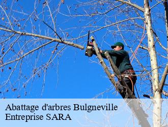 Abattage d'arbres bulgneville-88140 Entreprise SARA