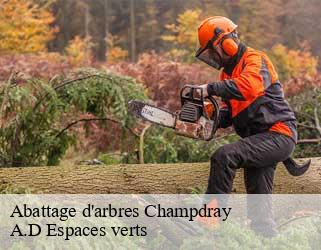 Abattage d'arbres  champdray-88640 A.D Espaces verts