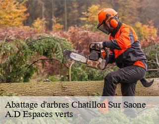 Abattage d'arbres  chatillon-sur-saone-88410 A.D Espaces verts