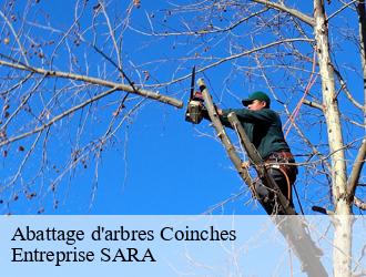 Abattage d'arbres coinches-88100 Entreprise SARA