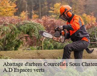 Abattage d'arbres  courcelles-sous-chatenois-88170 A.D Espaces verts