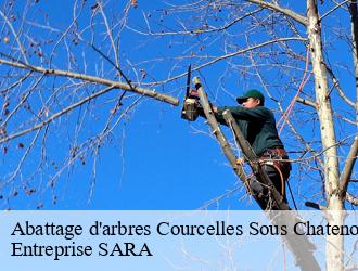Abattage d'arbres courcelles-sous-chatenois-88170 Entreprise SARA