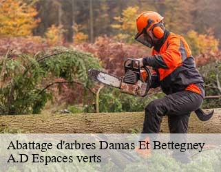 Abattage d'arbres  damas-et-bettegney-88270 A.D Espaces verts