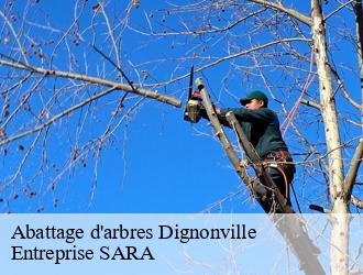 Abattage d'arbres dignonville-88000 Entreprise SARA