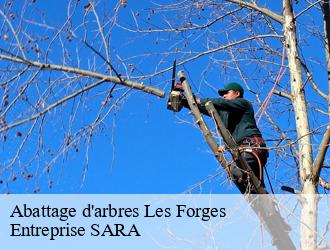 Abattage d'arbres les-forges-88390 Entreprise SARA