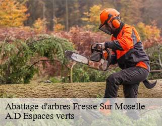 Abattage d'arbres  fresse-sur-moselle-88160 A.D Espaces verts