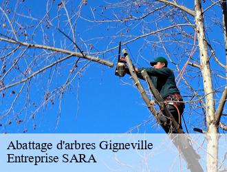 Abattage d'arbres gigneville-88320 Entreprise SARA