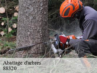 Abattage d'arbres 88320