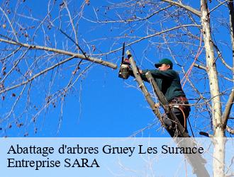 Abattage d'arbres gruey-les-surance-88240 Entreprise SARA
