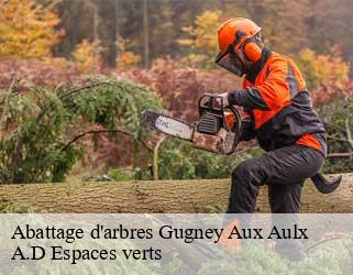 Abattage d'arbres  gugney-aux-aulx-88450 A.D Espaces verts