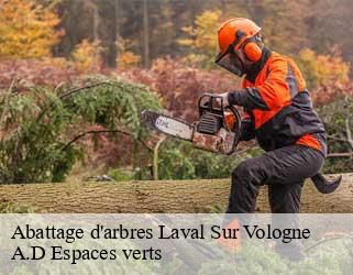 Abattage d'arbres  laval-sur-vologne-88600 A.D Espaces verts