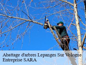 Abattage d'arbres lepanges-sur-vologne-88600 Entreprise SARA