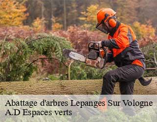 Abattage d'arbres  lepanges-sur-vologne-88600 A.D Espaces verts