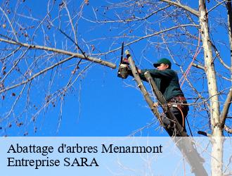 Abattage d'arbres menarmont-88700 Entreprise SARA