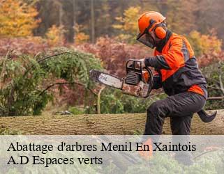 Abattage d'arbres  menil-en-xaintois-88500 A.D Espaces verts