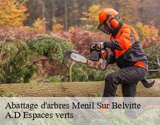 Abattage d'arbres  menil-sur-belvitte-88700 A.D Espaces verts