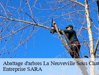 Abattage d'arbres la-neuveville-sous-chaten-88170 Entreprise SARA