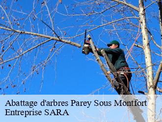 Abattage d'arbres parey-sous-montfort-88800 Entreprise SARA