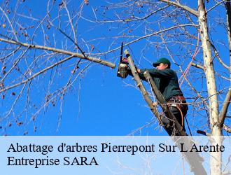 Abattage d'arbres pierrepont-sur-l-arente-88600 Entreprise SARA