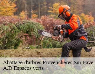 Abattage d'arbres  provencheres-sur-fave-88490 A.D Espaces verts