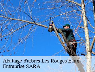 Abattage d'arbres les-rouges-eaux-88600 Entreprise SARA
