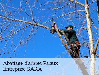 Abattage d'arbres ruaux-88370 Entreprise SARA