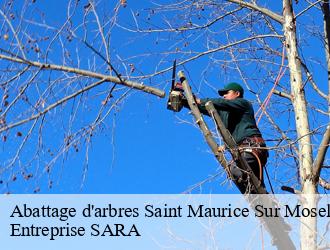 Abattage d'arbres saint-maurice-sur-moselle-88560 Entreprise SARA