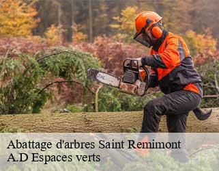 Abattage d'arbres  saint-remimont-88800 A.D Espaces verts
