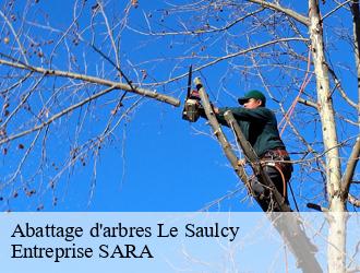 Abattage d'arbres le-saulcy-88210 Entreprise SARA