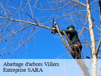 Abattage d'arbres villers-88500 Entreprise SARA